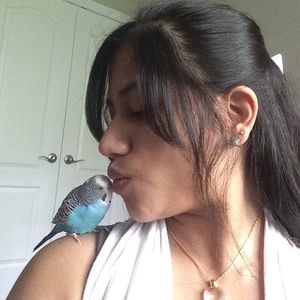 Meet your Posher, Vedini